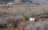 Tanner point1.jpg (178506 bytes)